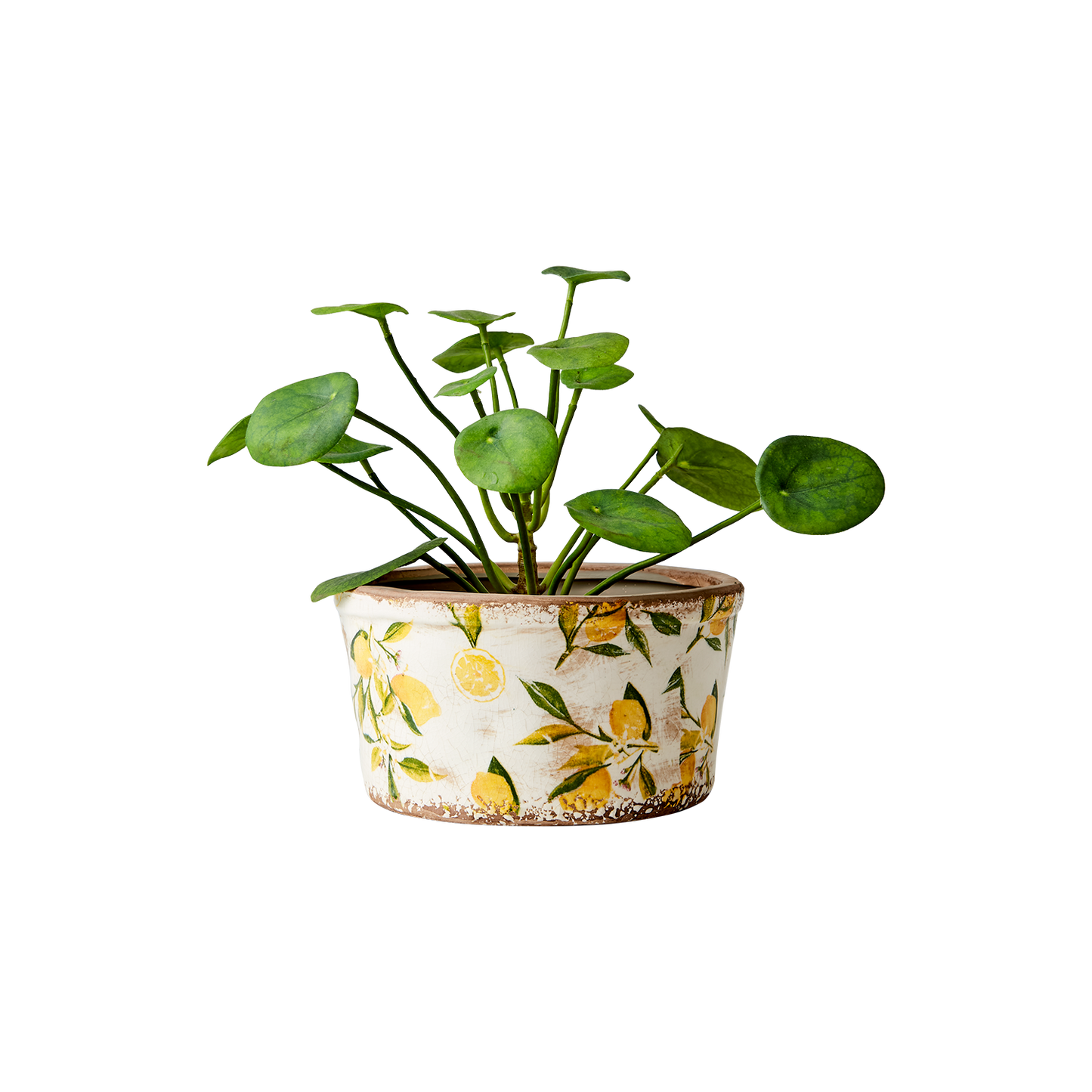 LEMONA Kruka M, Vit/grön/gul