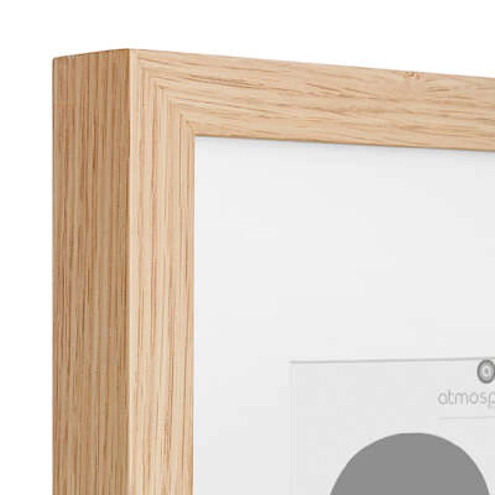 Poster - Livet Med En Katt - inkl. Ram