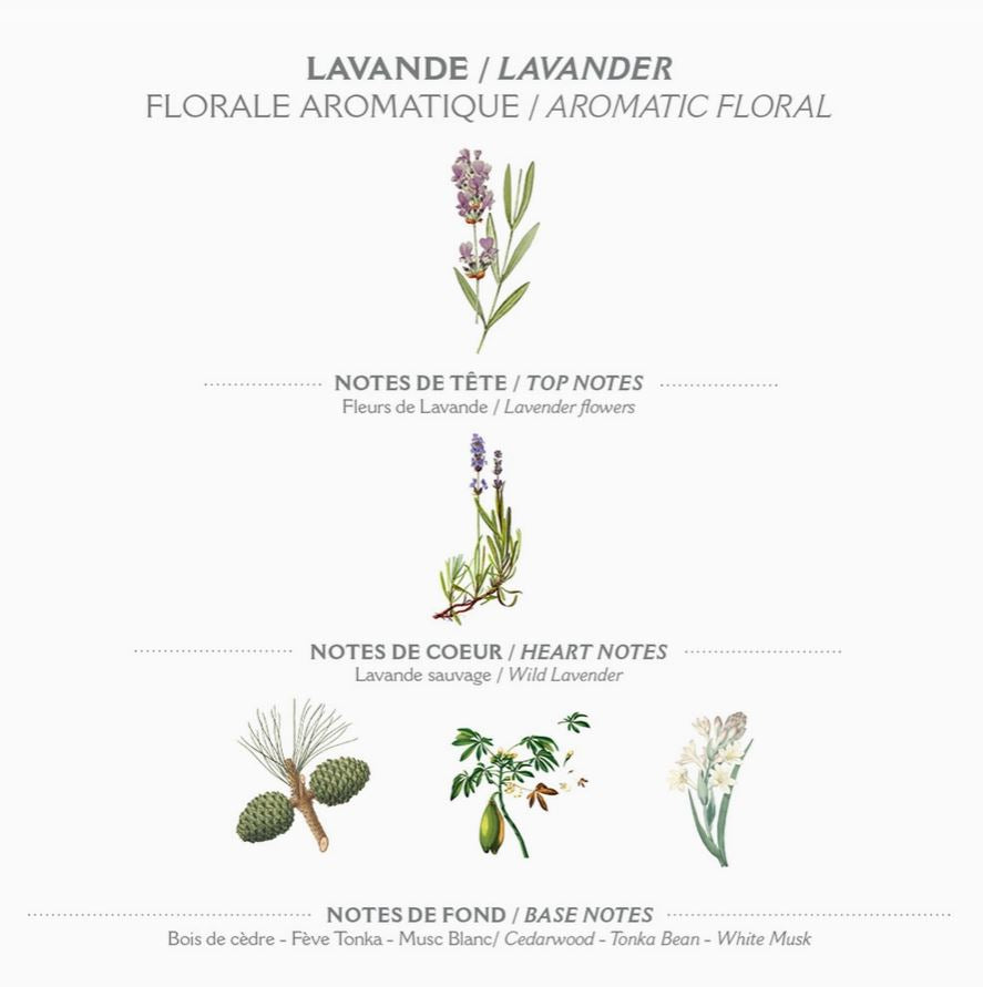 Bodylotion Kroppsmjölk Lavendel - 250 ml