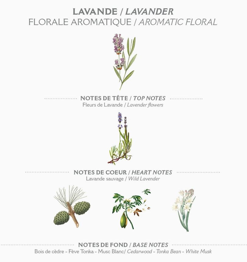 Handkräm Lavendel - 30 ml