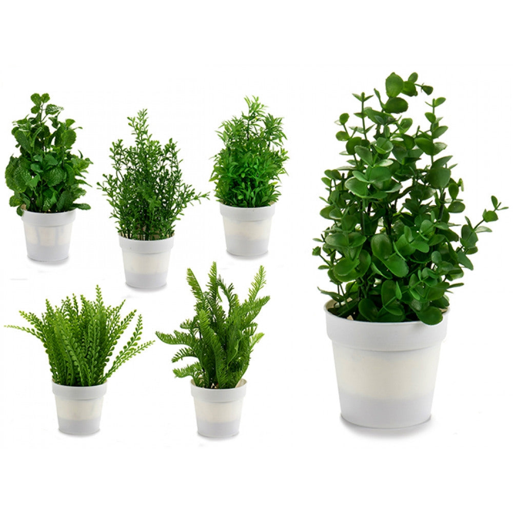 Konstväxt - 26cm - Ord. Pris 149:-