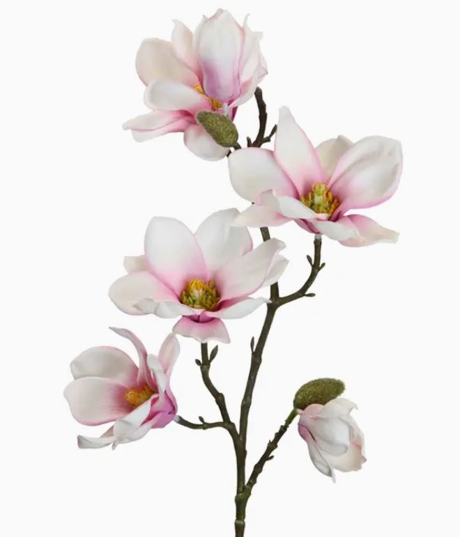 Magnolia / Magnoliakvist - Lys pink - 66 cm