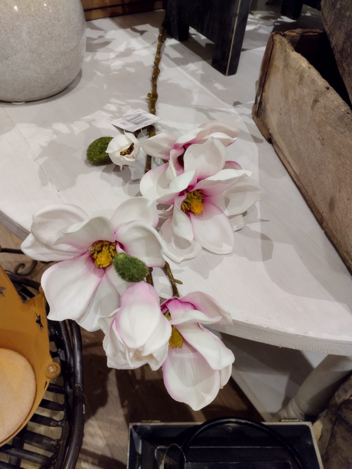 Magnolia / Magnoliakvist - Lys pink - 66 cm