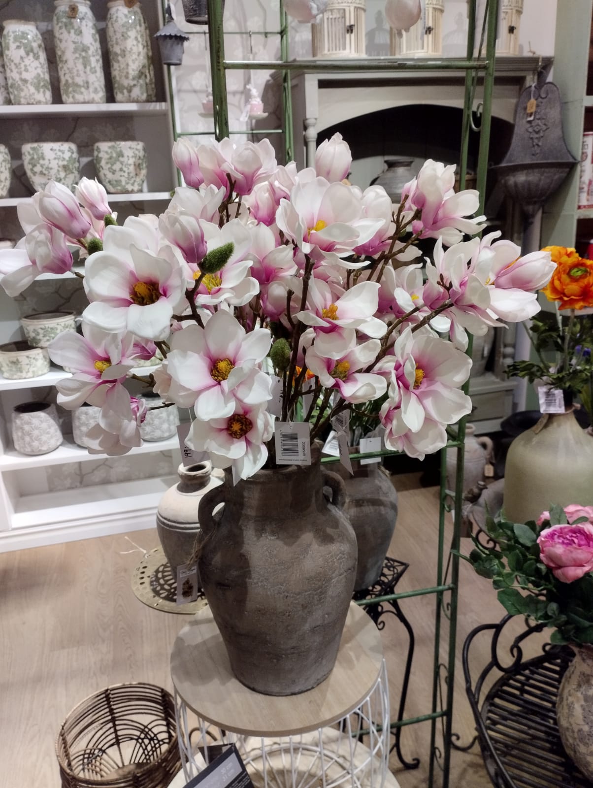 Magnolia / Magnoliakvist - Lys pink - 66 cm