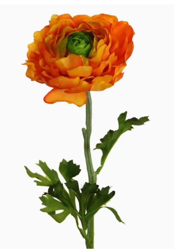 Ranunkel - Orange - 51 cm