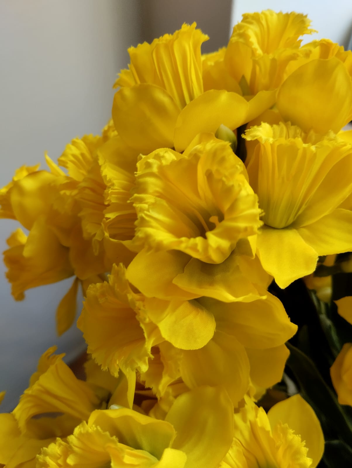 Påsklilja - gul - 46cm