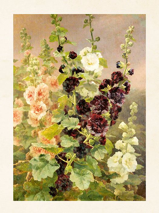 Poster, 18x24 cm, Stockrosor - Ord.Pris 89:-