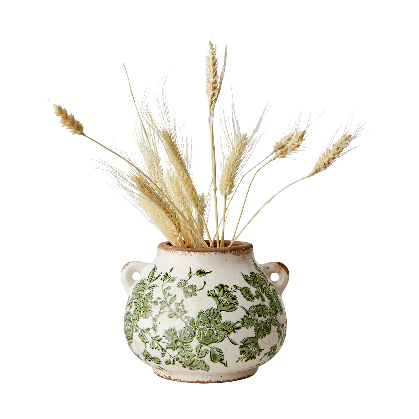 Sanremo Urna, Vit/grön