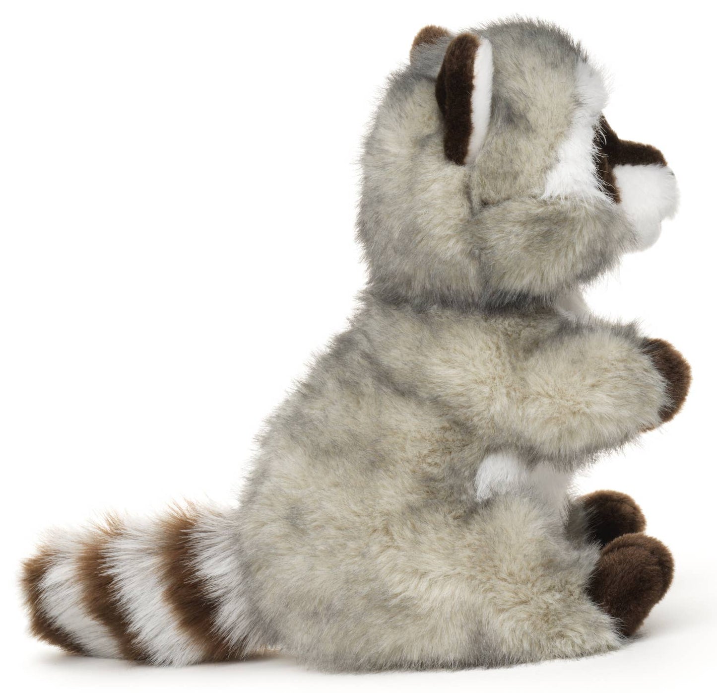 Tvättbjörn, sittande - 21 cm (höjd) - Plyschdjur