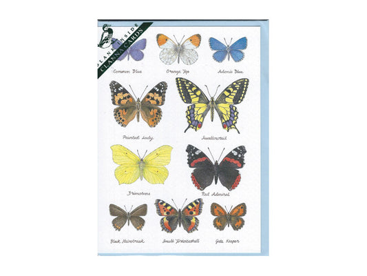 Kort Fjärilar - inkl. kuvert