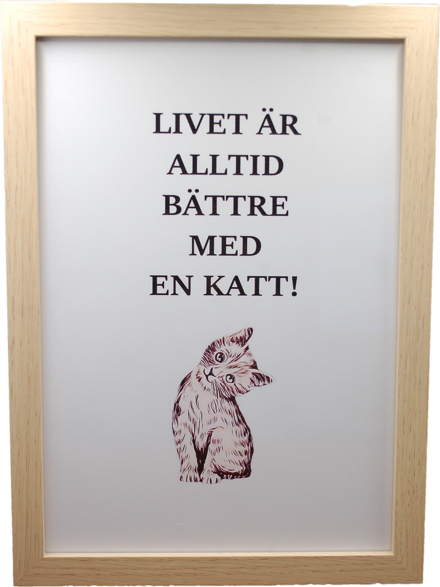 Plakat - Livet med en kat - inkl. Ramme