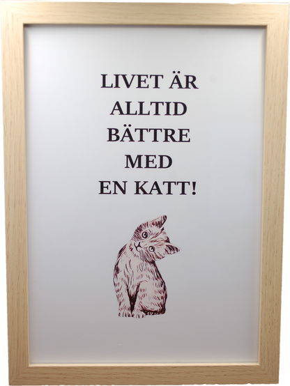 Plakat - Livet med en kat - inkl. Ramme