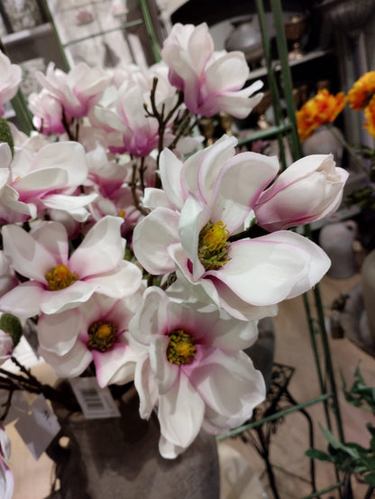 Magnolia / Magnoliakvist - Ljusrosa - 66 cm