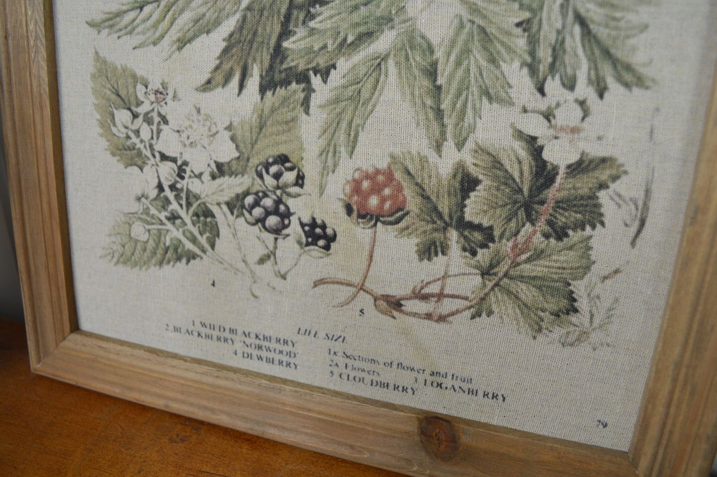 Vacker tavla med björnbärsmotiv på textil och en naturfärgad träram.  Mått: H 43cm /B 33 cm  Material: Gran, mdf, tyg 70% polyester och 30% bomull